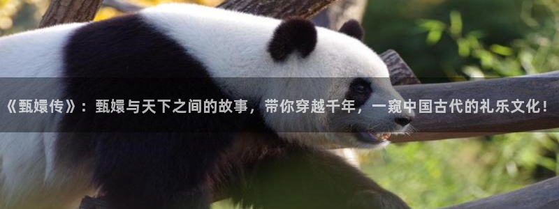 独立日 电影天堂