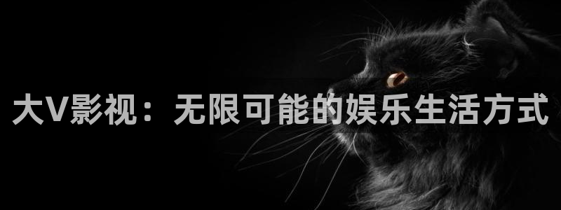 老笠电影天堂