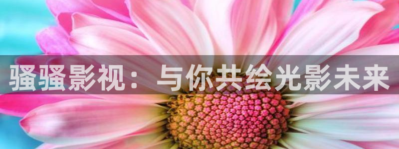 电影天堂电影在线观看