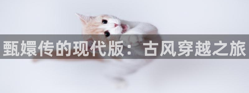 极盗者 电影天堂