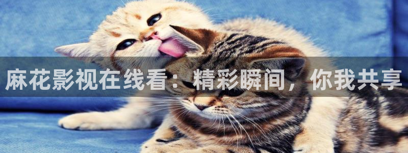 电影天堂一级片