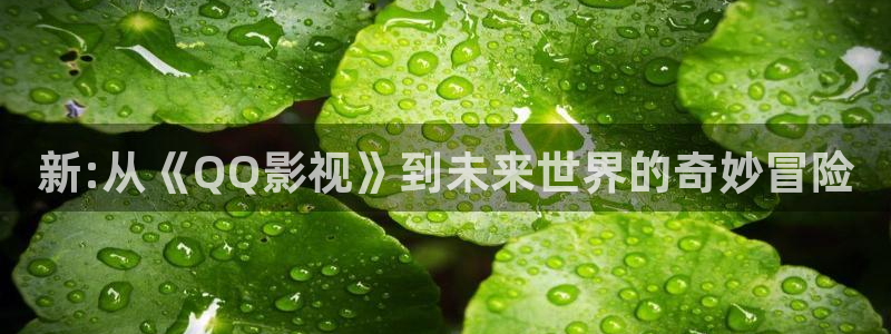 dytt天堂电影